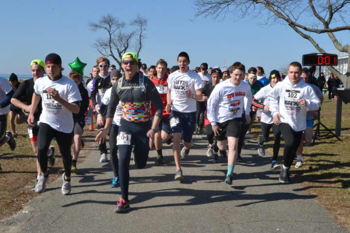 Runners take off in the 5k at the &quot;Bite Back for a Cure&quot; run/walk Sunday in Westport. The race raised money for the Tick-Borne Disease Alliance.