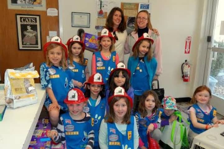 Girls from Wilton Daisy Troop 50229 helped Animals in Distress after the agency rescued 14 cats.