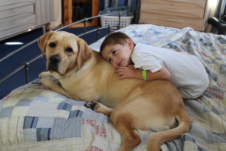 Six-year-old Nicky Mitrione snuggles with his Heeling Autism dog, Kelso. The Mitrione family received Kelso one year ago from Yorktown&#x27;s Guiding Eyes for the Blind.