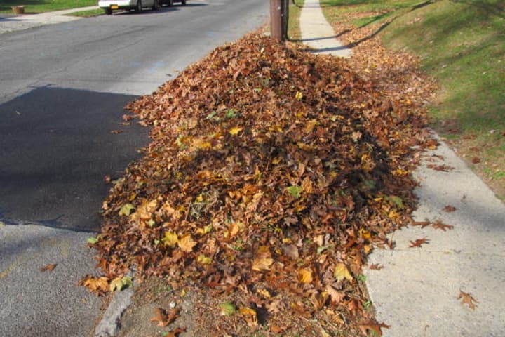 Putting leaves on the curb for city pickup will longer be allowed in New Rochelle.