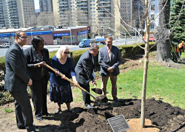 Mayor Mike Spano, right and members of the Yonkers Parks Department, Yonkers Historical Society and Emerald Tree Care, were on hand for the planting.