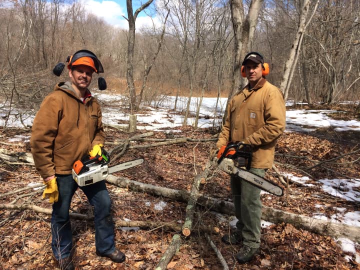 Aspetuck Land Trust is getting ready to clear a seven-acre space in its Trout Brook Valley Conservation Area in Weston and Easton. Pictured, from left, are ALT executive director David Brant and preserve manager Lou Bacchiocchi.