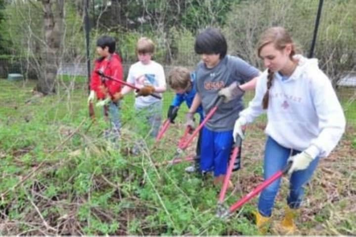 The Greenwich Land Trust is inviting residents to celebrate Earth Day. 
