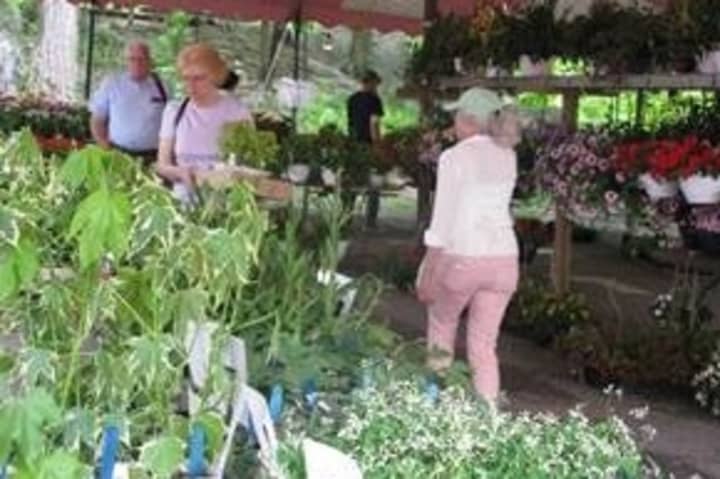 Teatown Lake Reservation in Ossining will host its annual plant sale on Friday, May 9, and Saturday, May 10.