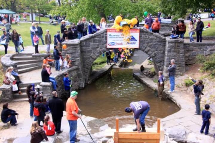 The Tarrytown Rotary&#x27;s Annual Rubber Duck Derby raises funding for causes in the community.