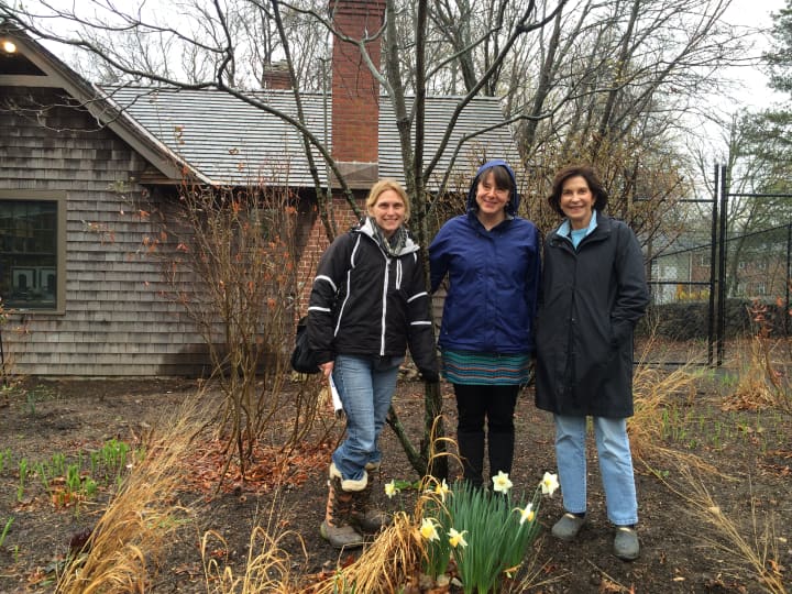 Michelle Eckman, director of education at the Connecticut Audubon Society, with Fairfield residents Jane Carey and Peggy Stuart at the Birdcraft Museum. 