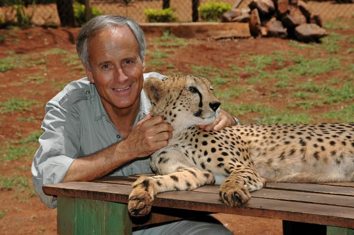 Jack Hanna will bring some special animal friends  maybe this cheetah  during appearances at The Maritime Aquarium at Norwalk this weekend. 