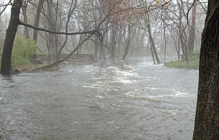 The Mill River in Fairfield was over flowing after the overnight rain fall. 