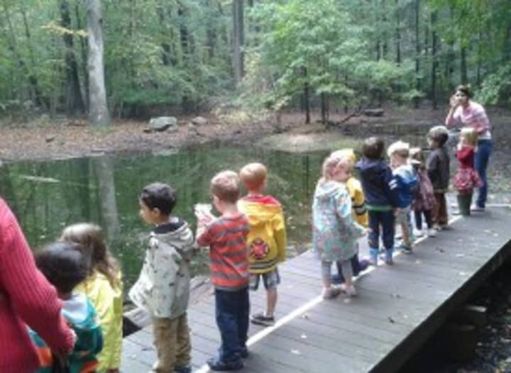 Rye Nature Center will be hosting an event for children to explore its ecosystem and to take their chance at catching eels in the blinding brook.