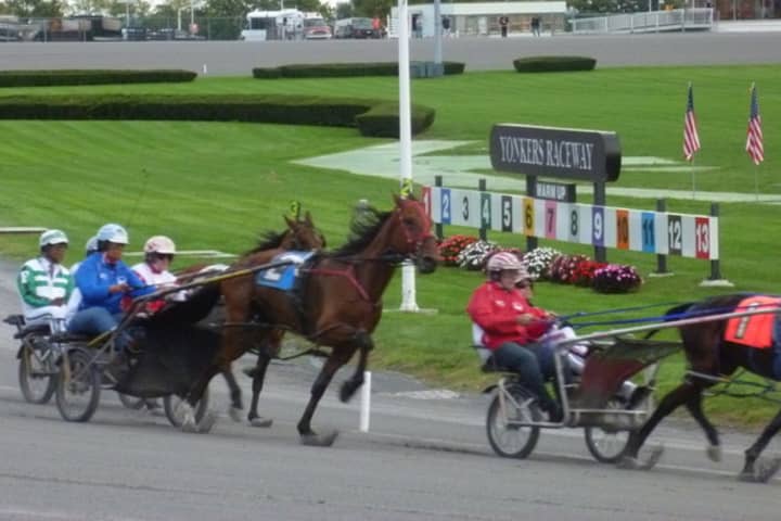 Liberty Cruise (not pictured) a Yonkers Raceway racehorse died on Monday.