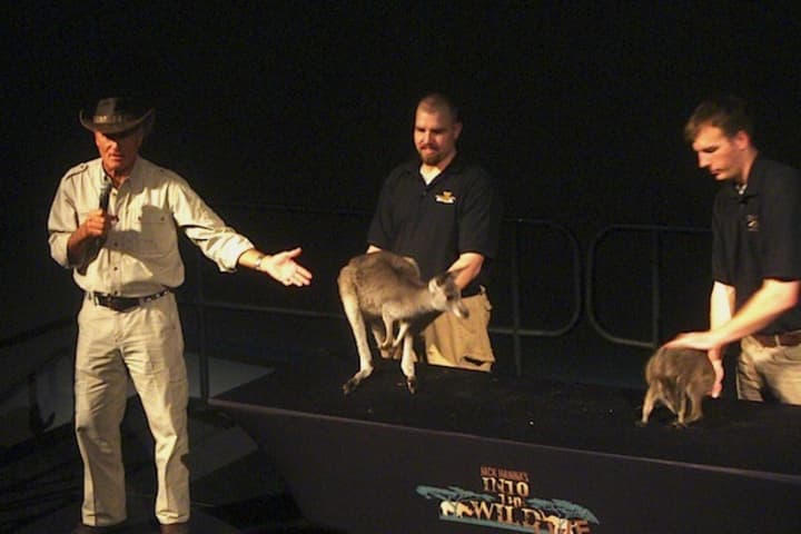 Jack Hanna brings out a kangaroo and a wallaby at his show at the Maritime Aquarium in Norwalk.