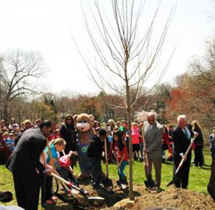 Almstead Tree &amp; Shrub Care Co. is celebrating, Arbor Day, Earth Day and its 50th anniversary by planting 50 trees throughout Westchester County and Fairfield County. 