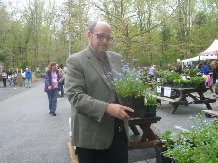 Ossining Mayor William Hanauer poses with some of his favorite plants at Teatown&#x27;s annual plant sale. 