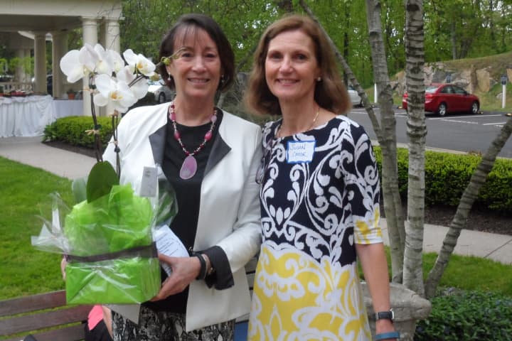 Carol Wilder-Tamme, left, outgoing President of the Darien Chamber of Commerce, talks with her successor, Susan Cator.