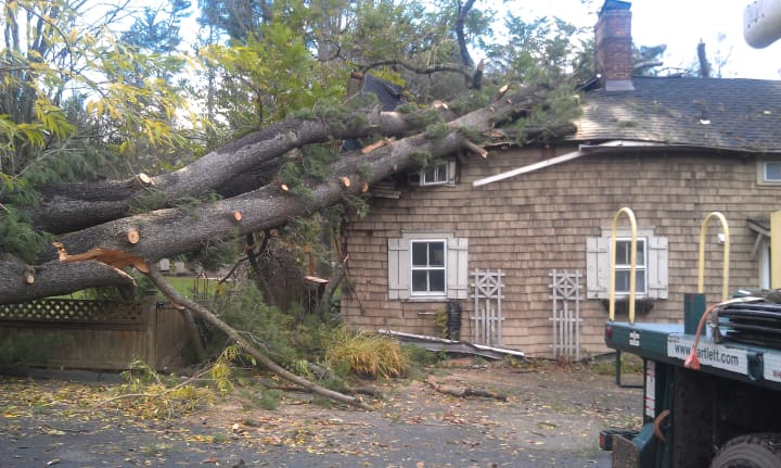 Hurricane Sandy tore through Stamford&#x27;s Barlett Arboretum, causing heavy damage to its cottage. 