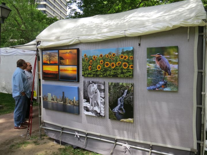 Tibbets Park in White Plains was abuzz with artists  this weekend. 