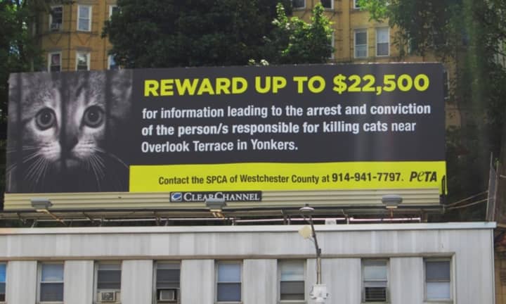 The total, which is displayed in large yellow font next to a picture of a forlorn kitten behind bars, includes donations from PETA and other organizations. 