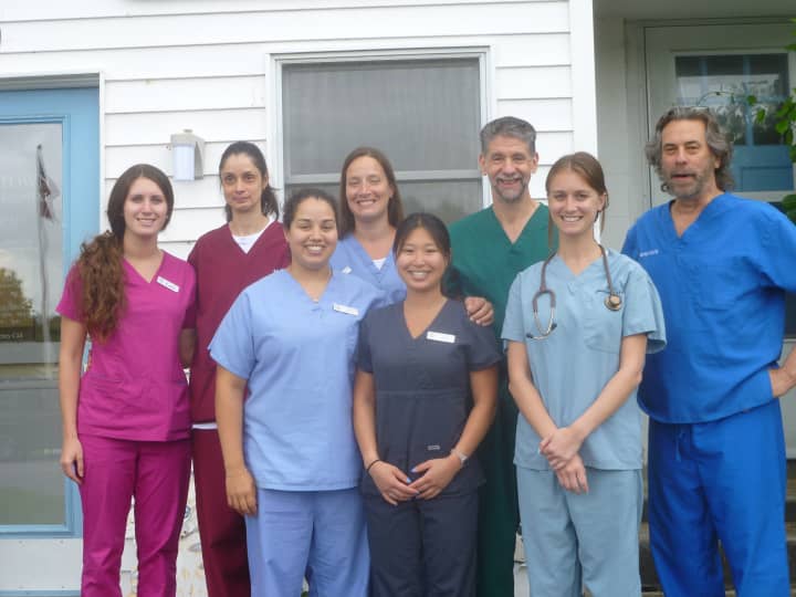 The staff at Yorktown Animal Hospital.