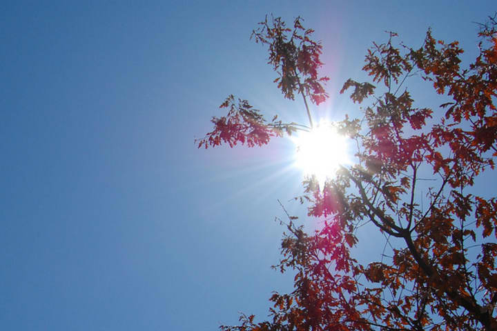 Sunny skies and humid temperatures will remain in Westchester County through Thursday. 