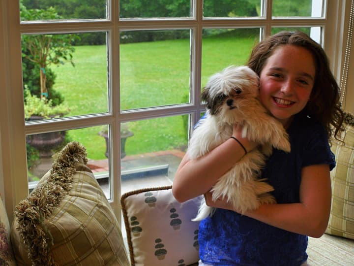 Before going to the Emmy&#x27;s this weekend, 11-year-old Hayley Negrin of Weston showed off her new puppy named Emmy, after her first-ever nomination and now win.