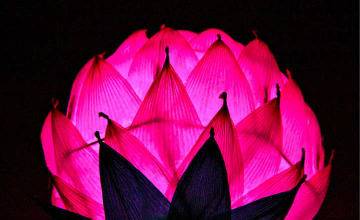 Volunteer members of the Korean Cultural and Spiritual Project will stage a presentation and provide craft instruction to create a Blooming Lotus Lantern.