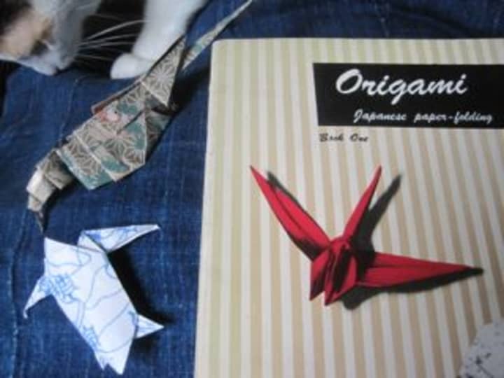 Learn origami at the Marine Education Center. 
