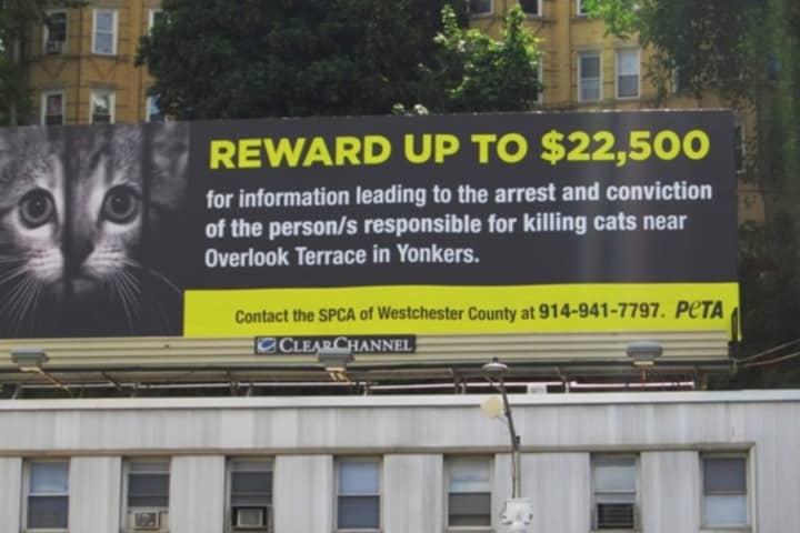 Animal Defenders of Westchester has announced that the city of Yonkers has allotted $15,000 to trap, neuter and release feral cats after the worst case of animal cruelty occurred in Yonkers. 