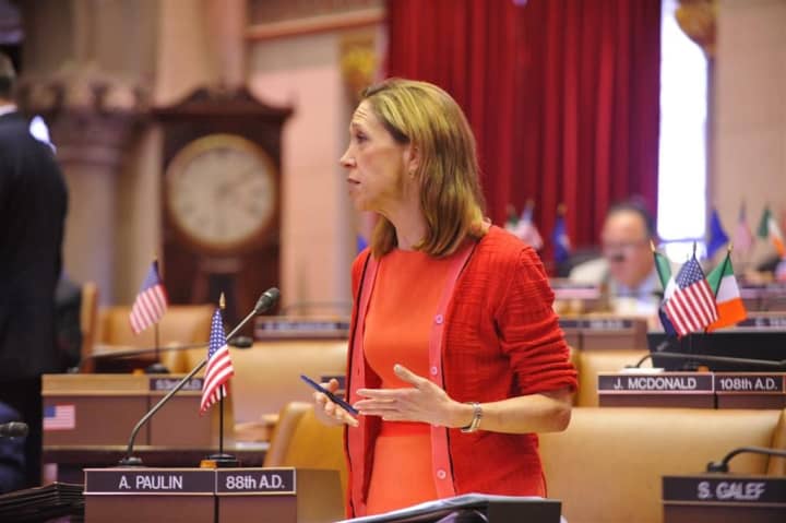 Amy Paulin (D-88) debating a bill on the Assembly floor.