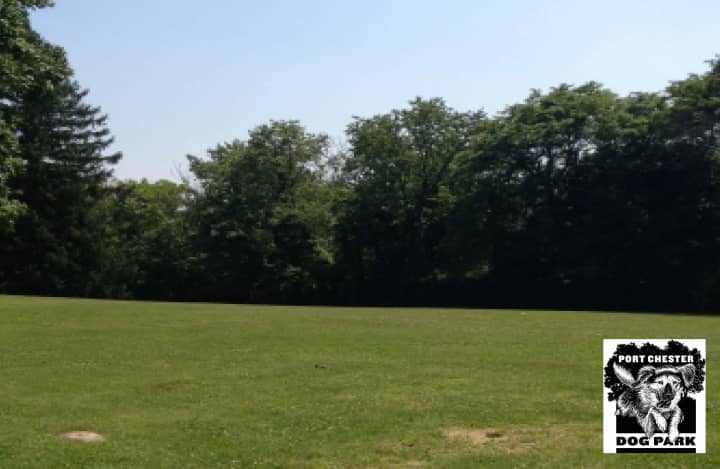 The proposed Port Chester Dog Park would be at Abendroth Park&#x27;s upper level.