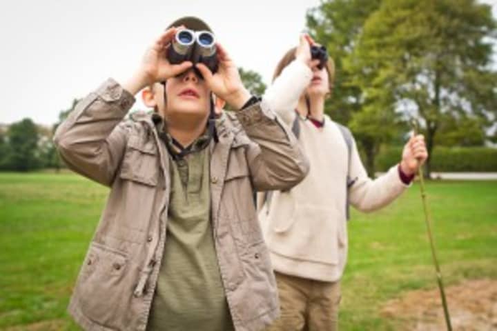 Bird watching is among events in Westchester parks. 