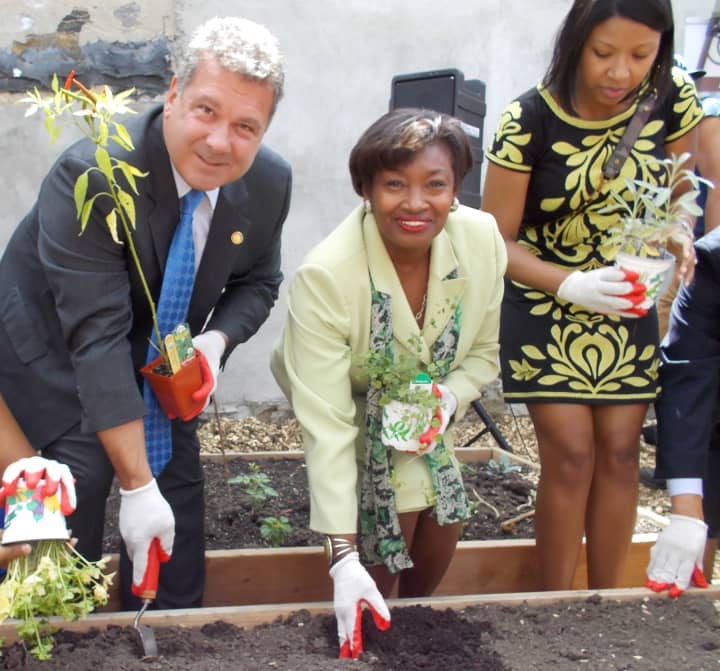Mayor Spano and Sen. Stewart-Cousins visited the event to assist with planting.  