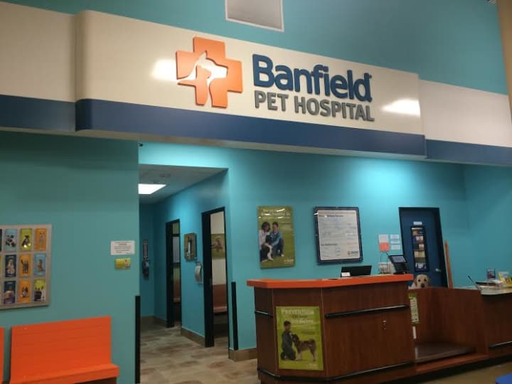 The new veterinary Banfield Pet Hospital opens in Greenburgh/White Plains Saturday, Aug. 21.