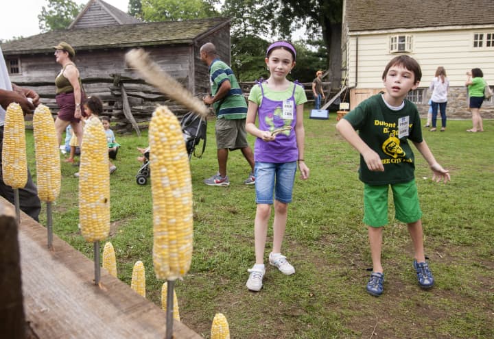 Nosh on corn-based delicacies and take part in hands-on, corn-related activities at the Lower Hudson Valleys only corn festival.