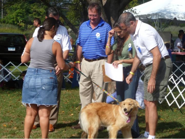 Adopt-A-Dog is looking for more volunteers for the upcoming Puttin&#x27; on the Dog Festival.