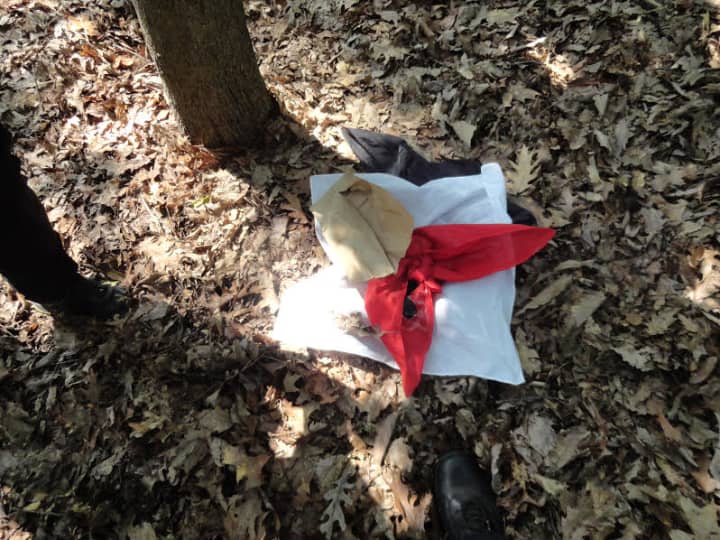 The dead bird found in Mount Vernon prompted the investigation. 