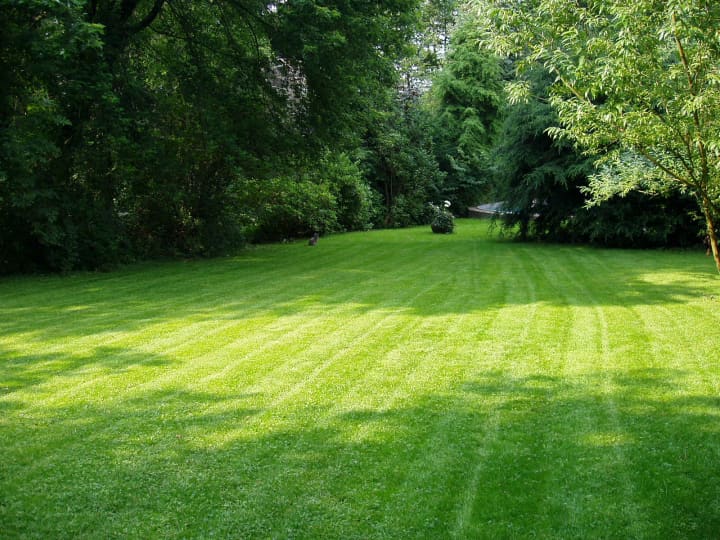 Bartlett Arboretum &amp; Gardens will host a discussion on fall lawn preparation on Sept. 10. 