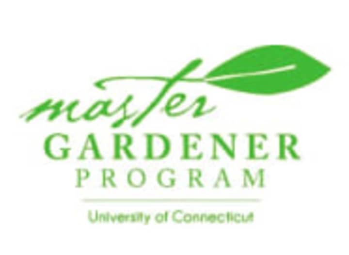 Author Kerry Ann Mendez is teaching a gardening master class on Sept. 30 at the Bartlett Arboretum.