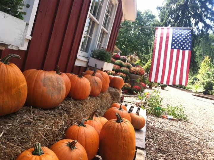 Few things say autumn as much as a row of pumpkins such as the ones here outside of Eden Farms Nursery &amp; Garden Center at 947 Stillwater Road in Stamford.
