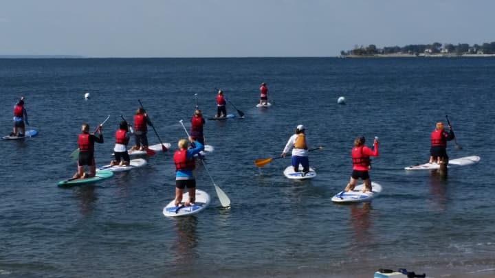 Members of the Royle Moms paddleboard just off the coast.