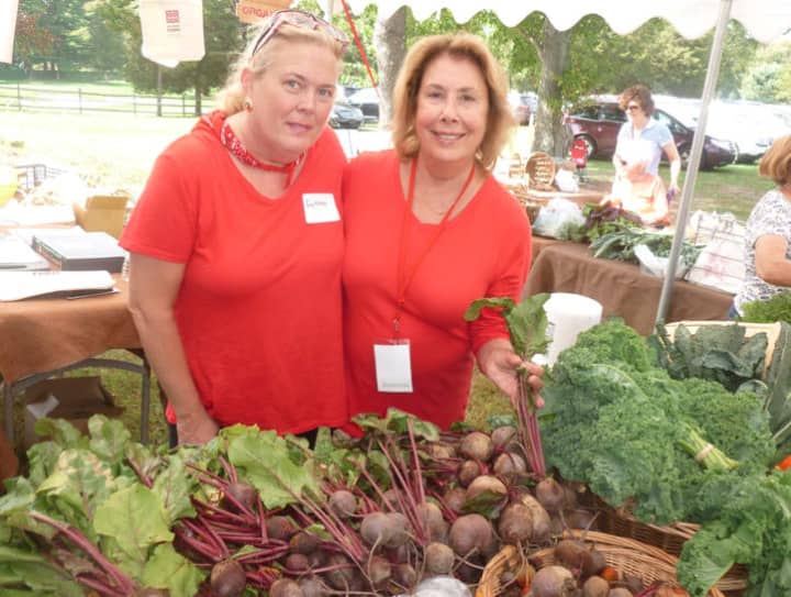 Gretchen DeMattia, left, and Florine Kruger, are two of the many volunteers at Wilton&#x27;s Ambler Farm fall festival on Sunday.