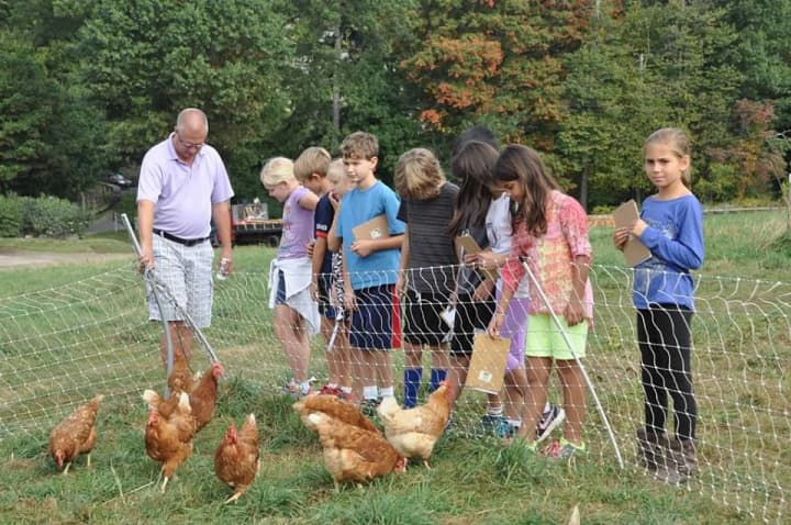 Students visited Stone Barns to explore the connection between farm life and harvesting. 