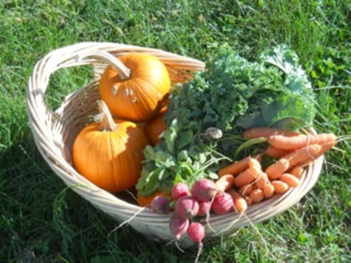Pick pumpkins and buy fall vegetables at Hilltop Hanover Farm. 