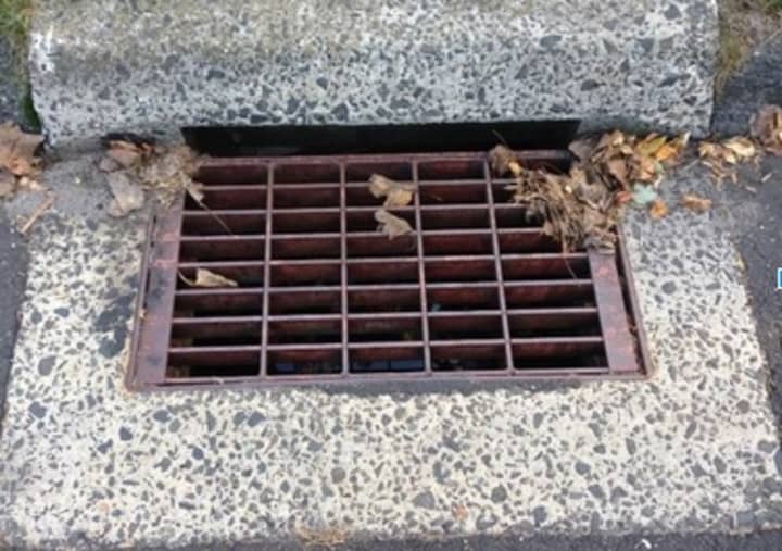 Trash discarded in storm drains can eventually find its way to Long Island Sound.