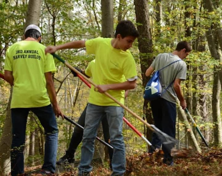 Students raked leaves in efforts to make a cleaner Ward Pound Ridge Reservation.