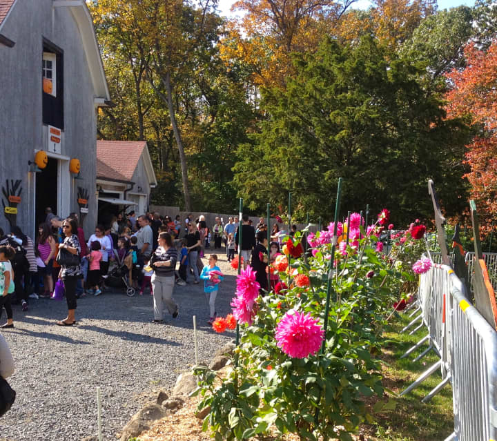 A crowd enjoys Spooktoberfest 2014 at Hart&#x27;s Brook Park and Preserve in Hartsdale. This year&#x27;s event will take place Oct. 17. 
