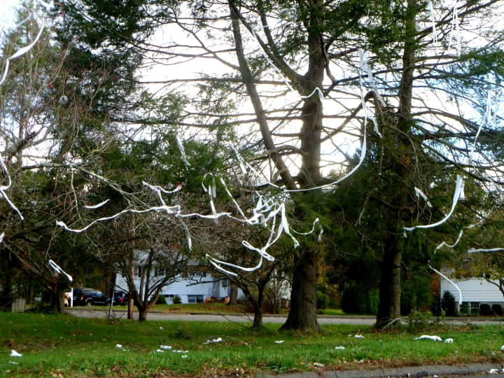 One common tradition on the night before Halloween is to decorate neighborhood trees with toilet paper.