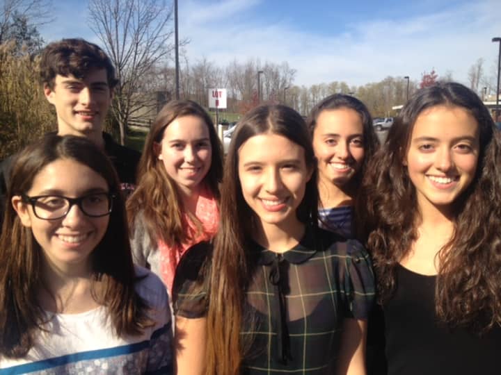 The Fox Lane students who will perform in New York All-State Music Ensembles.