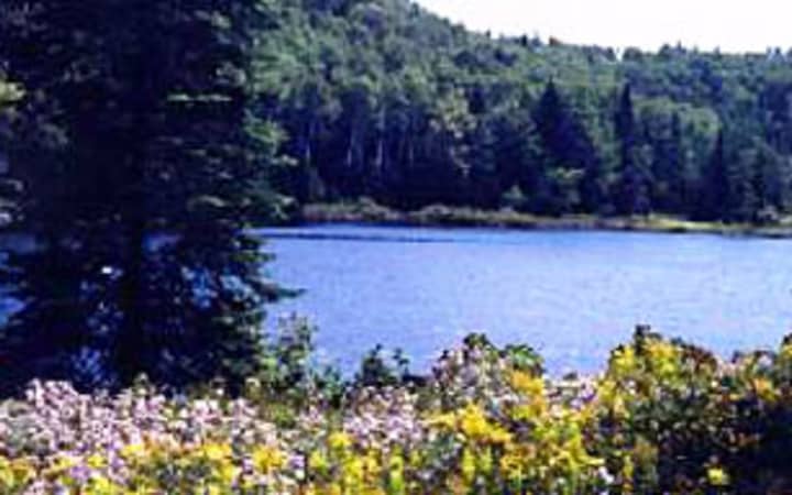A boy was rescued after falling off a cliff in the Cranberry Lake Preserve on Tuesday. 