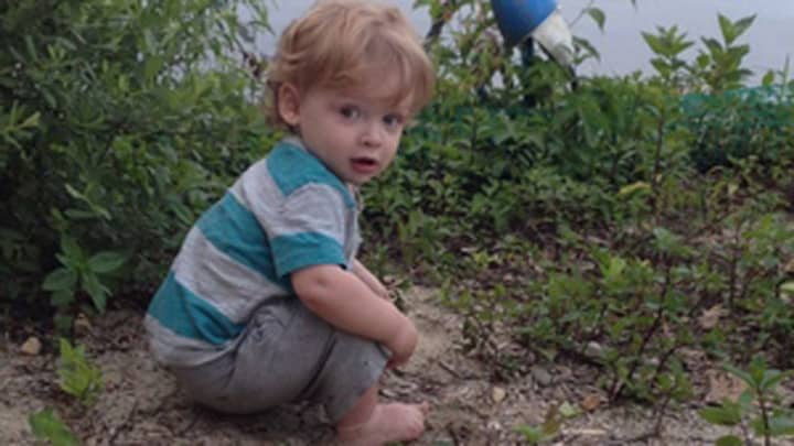 Benjamin Seitz was 15 months old when he died in a hot car in Ridgefield. 