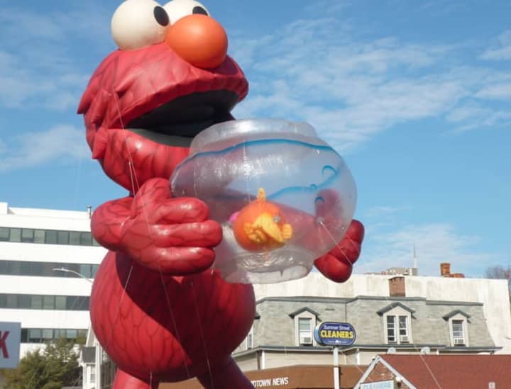 Elmo holding a fish tank at the UBS Parade Spectacular Sunday in downtown Stamford.